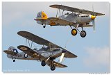 Hawker Hind & Nimrod II