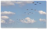 Flying Legends 2010
