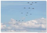Flying Legends 2010