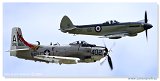 Flying Legends 2009