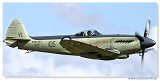 Supermarine Seafire F XVII