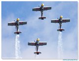 IFD 2009 