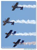 IFD 2009 