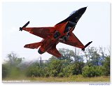 NLD 2009 