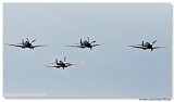 Flying Legends 2008 