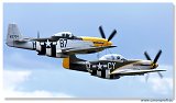 Flying Legends 2008