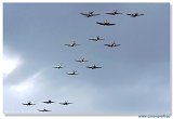 Flying Legends 2008