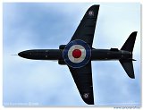 Hawk T1