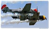 Yak-50 Aerostars