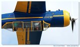 IFD 2008 