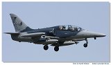 L-159T ALCA