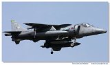 Harrier GR9