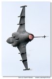 NLD 2008 