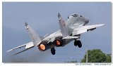 NLD 2008 