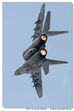 NLD 2008 