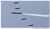 NLD 2008 