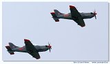 NLD 2008