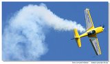 Extra 300L