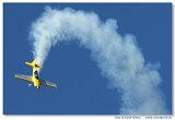 Extra 300L