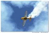 Extra 300L