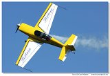 Extra 300L