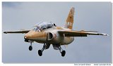 Aermacchi M311