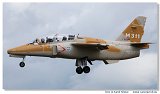 Aermacchi M311
