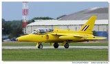 Gnat T1