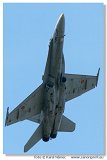 EF-18A Hornet 