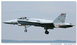 EF-18A Hornet 