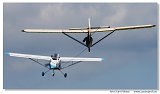 Fox & Z-23 Honza 