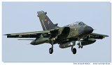 Tornado IDS 