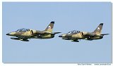 L-39 ZA 