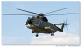 Sikorsky HH-3F Pelican 