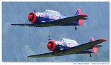 T-6 Team 