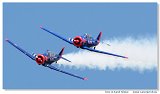 T-6 Team 