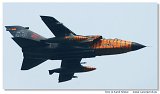 Tornado IDS 