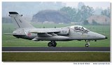 AMX