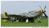 P-51D Mustang