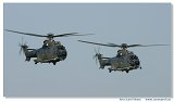 Eurocopter TH89 Cougar (AS-532UL) 