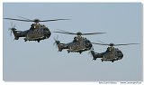 Eurocopter TH89 Cougar (AS-532UL) 