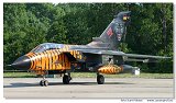 Tornado IDS