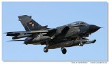 Tornado IDS 