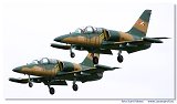 L-39ZO 