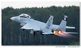 F-15D 