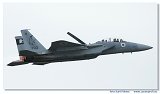 F-15D 