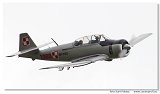 TS-8 Bies 