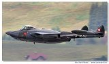 Venom FB50