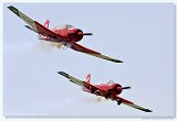Yak-18 - Sky Huszars