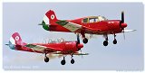 Yak-18 - Sky Huszars